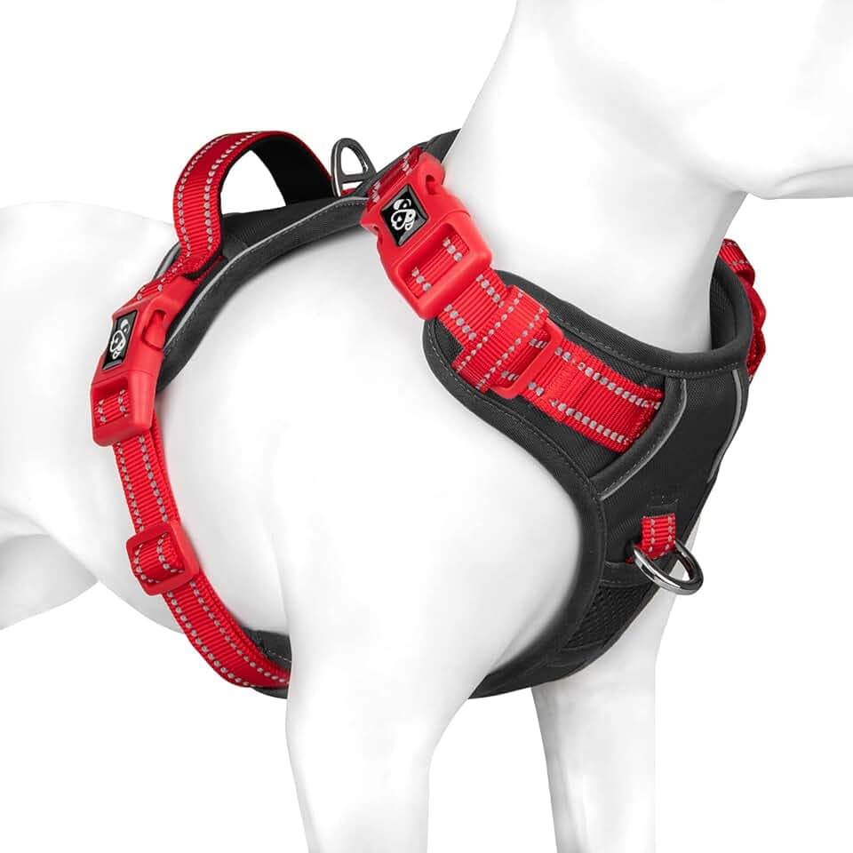 PHOEPET Hundegeschirr Kleine Hunde, Anti Zug Verstellbar,Schwarz S | No Pull & Vollständig Verstellbar，2 D-Ringe，Schnellverschluss-Schnallen，Atmungsaktive Polsterung，Reflektierend,Mit Griff