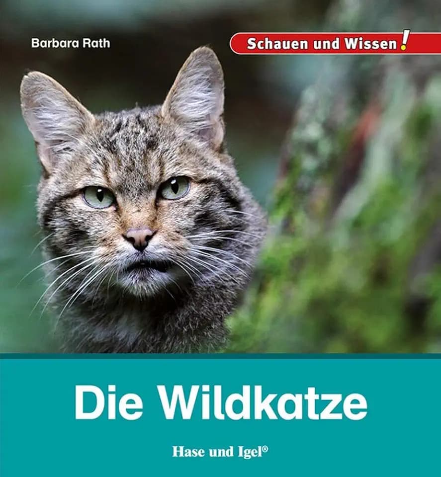 Die Wildkatze: Schauen und Wissen!