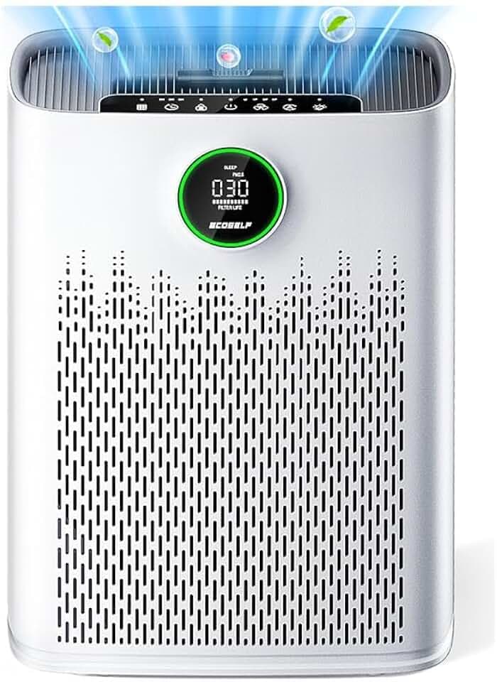 Air Purifiers for Home Large Room, Up to 2400 Ft² with True HEPA Filter