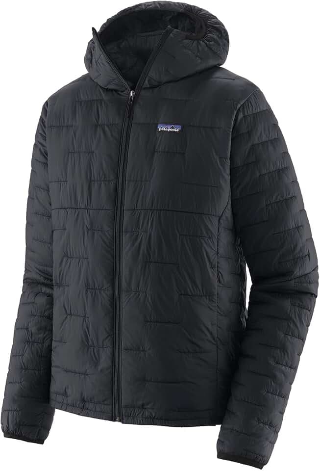 Patagonia Herren M's Micro Puff Hoody Jacket (1er Pack)