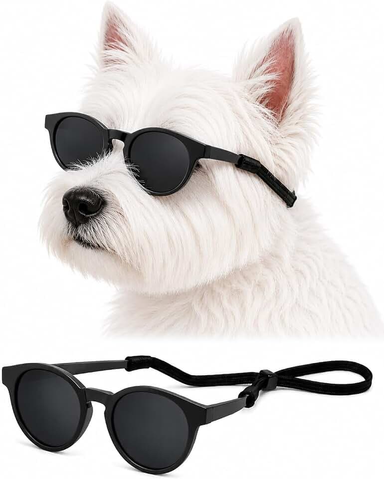 G014-P Dog Pet Costume Retro Panto Sunglasses Small to Medium Breed (Medium, 12-25 lbs, Panto Black)