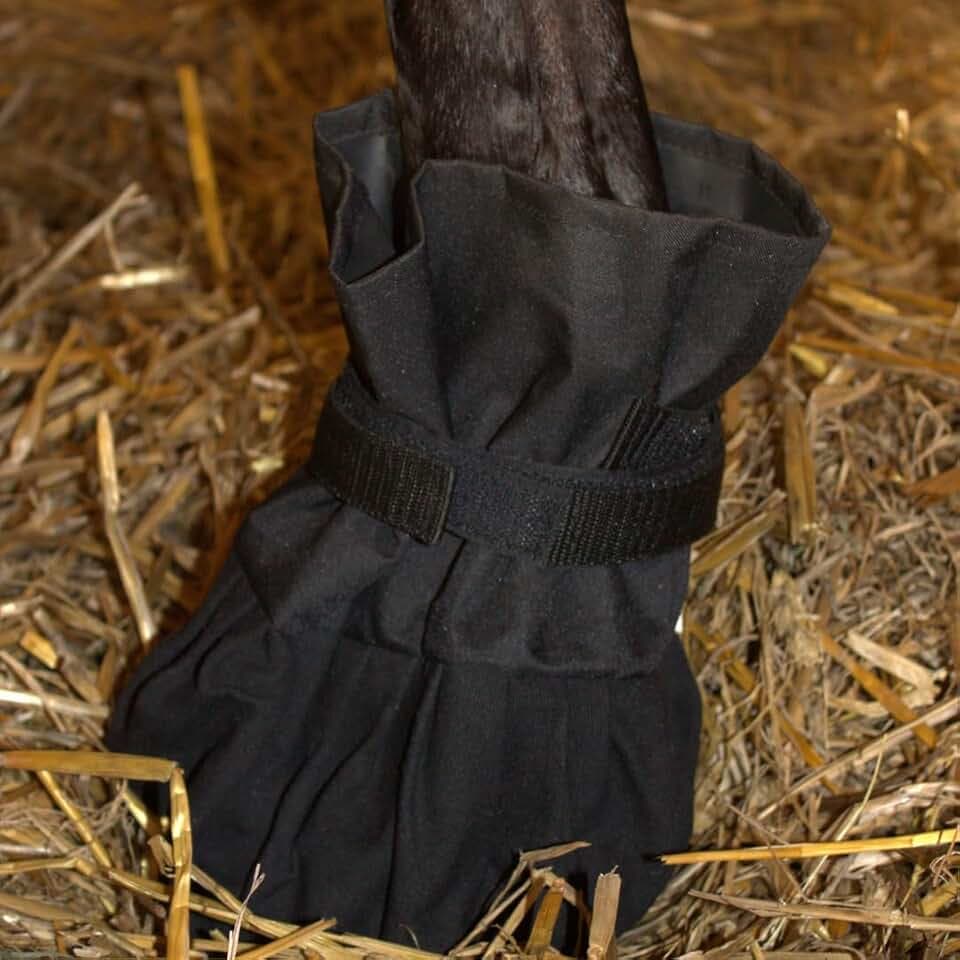 PFIFF 103109 wasserdichter Behandlungsschuh, Hufschuh für Hufe und Klauen, Canvas Material, Einheitsgröße, Schwarz