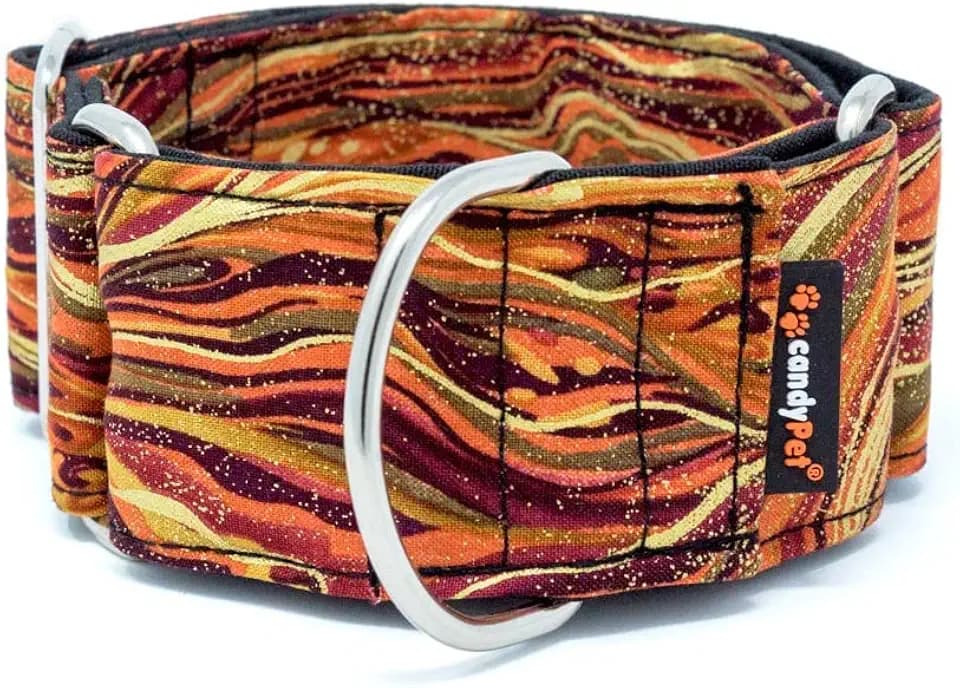 Martingale Dog Collar - New Waves, M