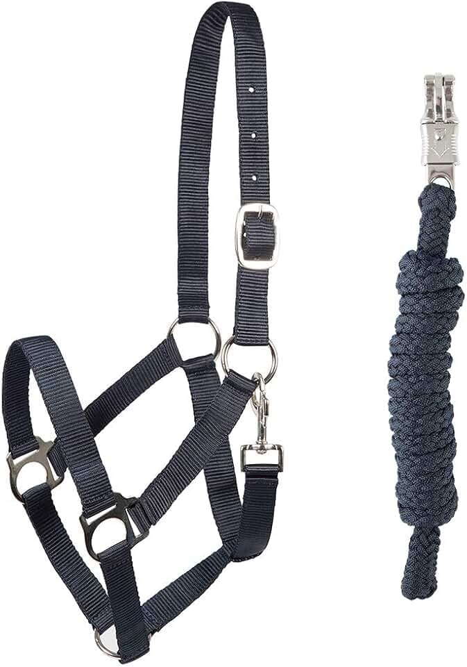 PFIFF 102931 Halfter und Strick Set, Kunststoffhalfter Führstrick, Dunkelblau Cob