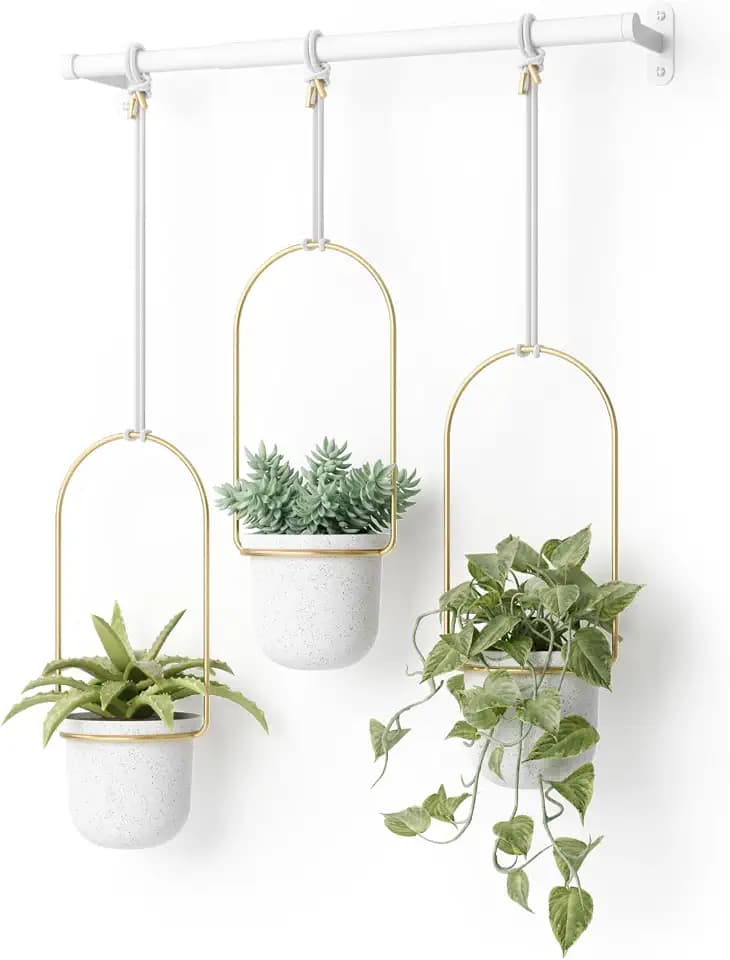 Umbra Triflora Hanging Planter, Indoor Herb Garden, Set of 3, White/Brass