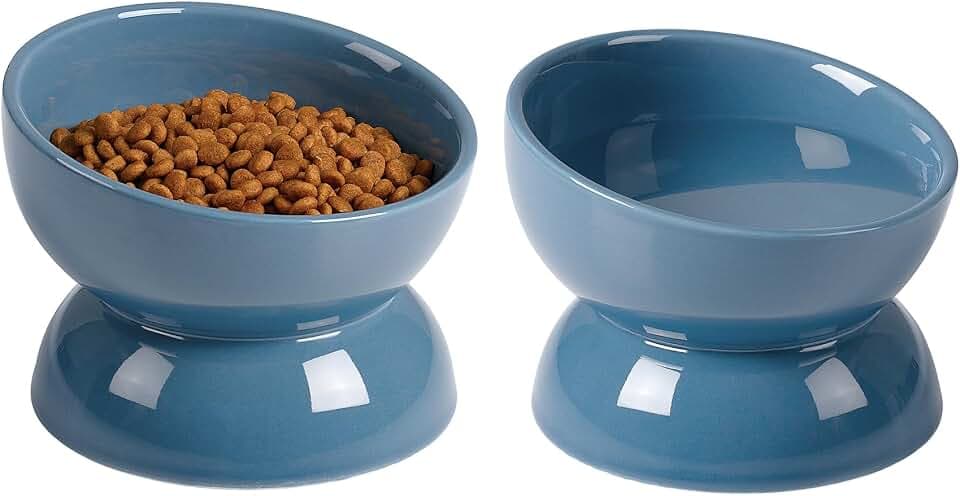 ABRUTY Cat Water Bowl, 16 OZ Ceramic Elevated Cat Bowls, 15° Tilted and Raised Pet Food Dish, Anti Vomiting Protect Pets' Spines and Whisker Fatigue, Set of 2, Blue