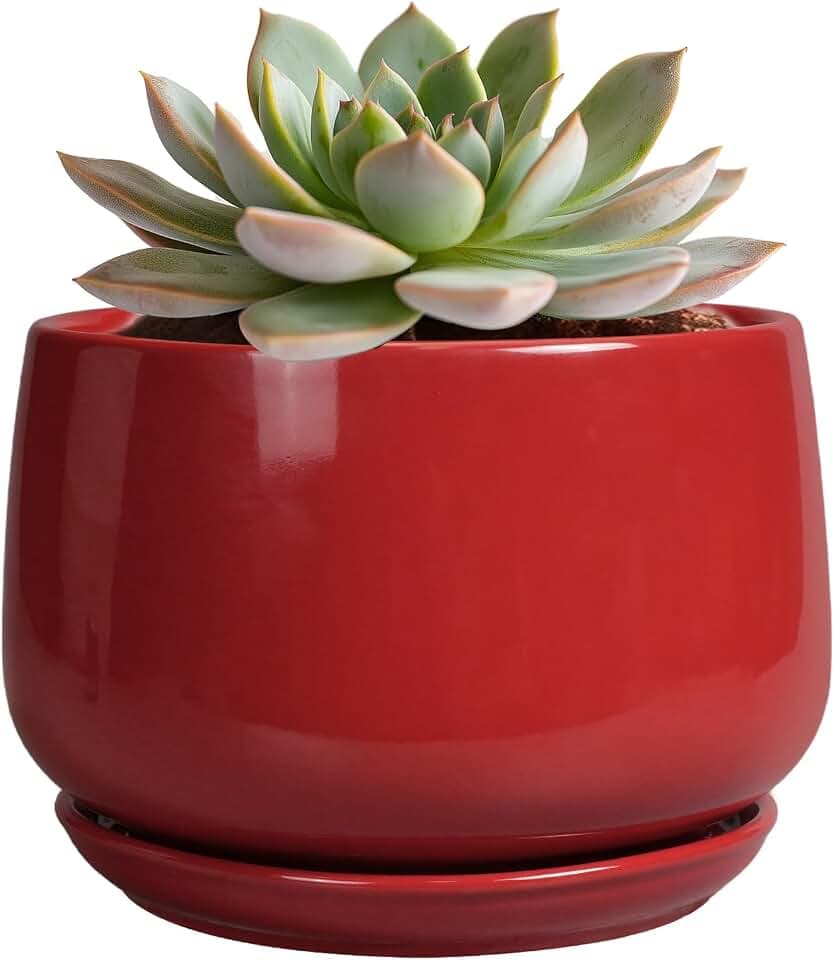 G EPGardening Ceramic Pot for Plants - 6 Inch Plant Pot with Drainage and Ceramic Tray, Modern Living Room Decor, Planter for Housewarming Gifts New Home, Red