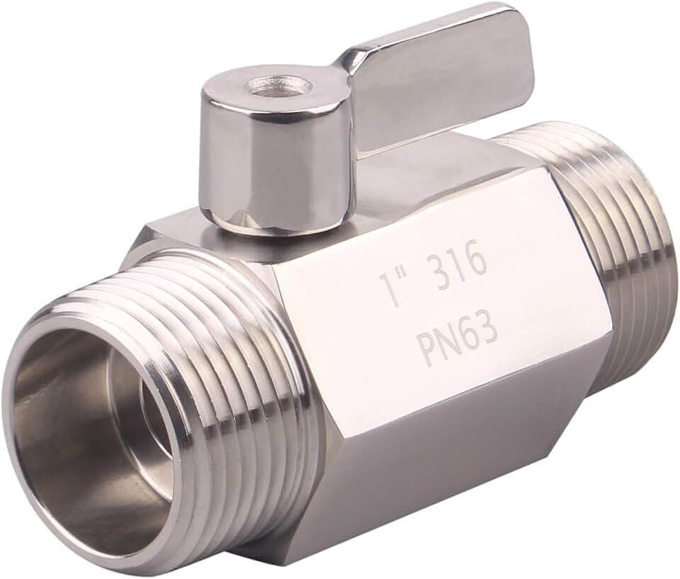 DERNORD Stainless Ball Valve - 1 Inch NPT Thread Male Small Mini Ball Valve (1" Male & Male)