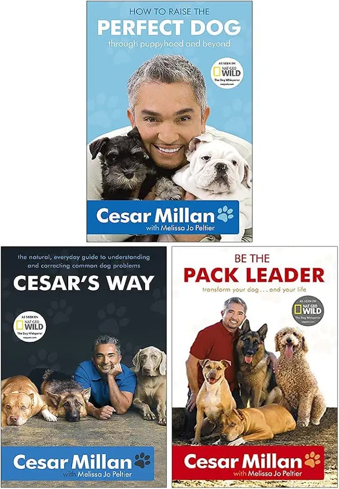 Cesar Millan 3-Bücher-Sammelpaket-Set – Wie man den perfekten Hund auf Cesar's Art großzieht und der Rudelführer wird