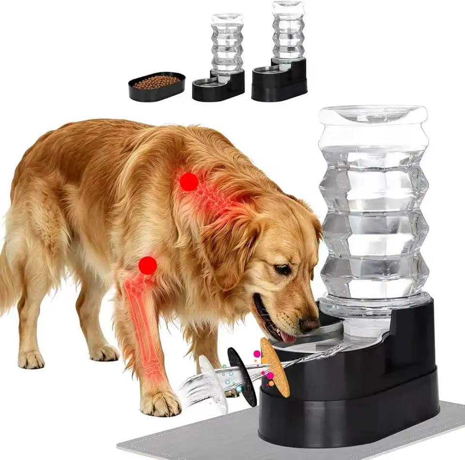 RIZZARI 8L Elevated Dog Water Dispenser: Large Dogs Senior Pets Filtered