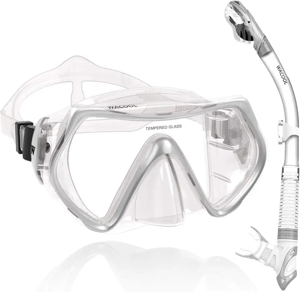 WACOOL Professional Snorkeling Snorkel Diving Scuba Package Set with Anti-Fog Coated Glass Purge Valve and Anti-Splash Silicon Mouth Piece for Men Women (Adults,Silver)