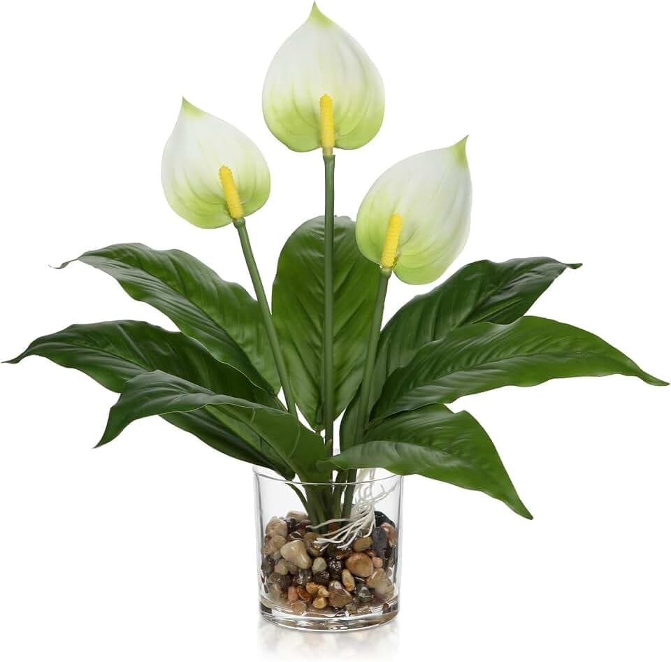 Briful Künstliche Anthurie Blumen im Glas Vase mit Kieselsteinen & Kunstwasser – 39cm hoch – Deko Pflanze für Wohnzimmer, Büro, Bad – Kunstblume in Weiß, Rot – Dekoblumen