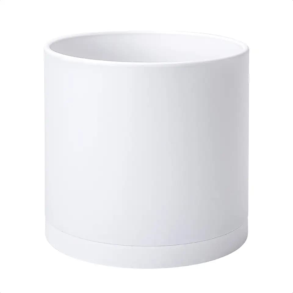 D'vine Dev Plastic Planter Pot with Saucer, 12 in, White, 74-X-A-3