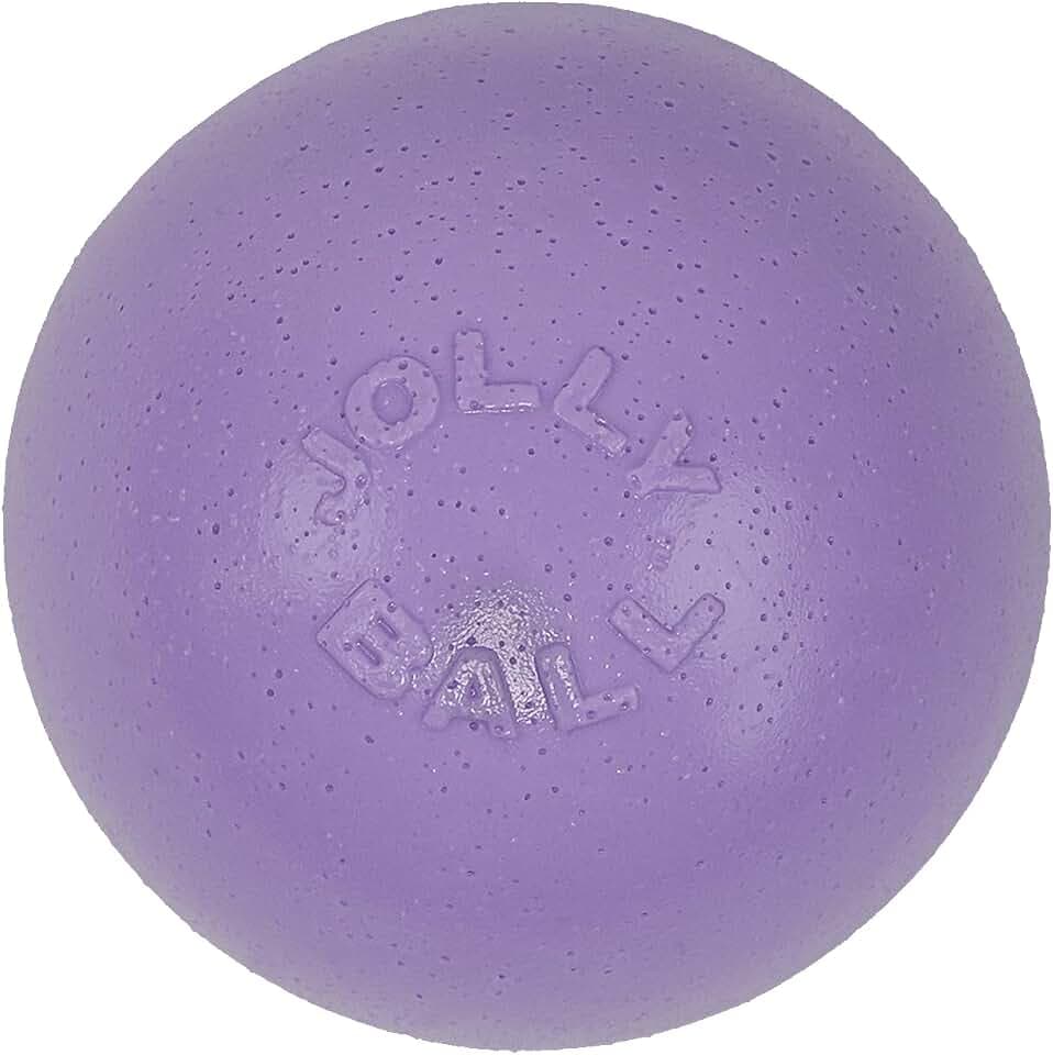 Jolly Pets Bounce-n-Play Hundespielzeugball, 11,4 cm/klein, Hellviolett