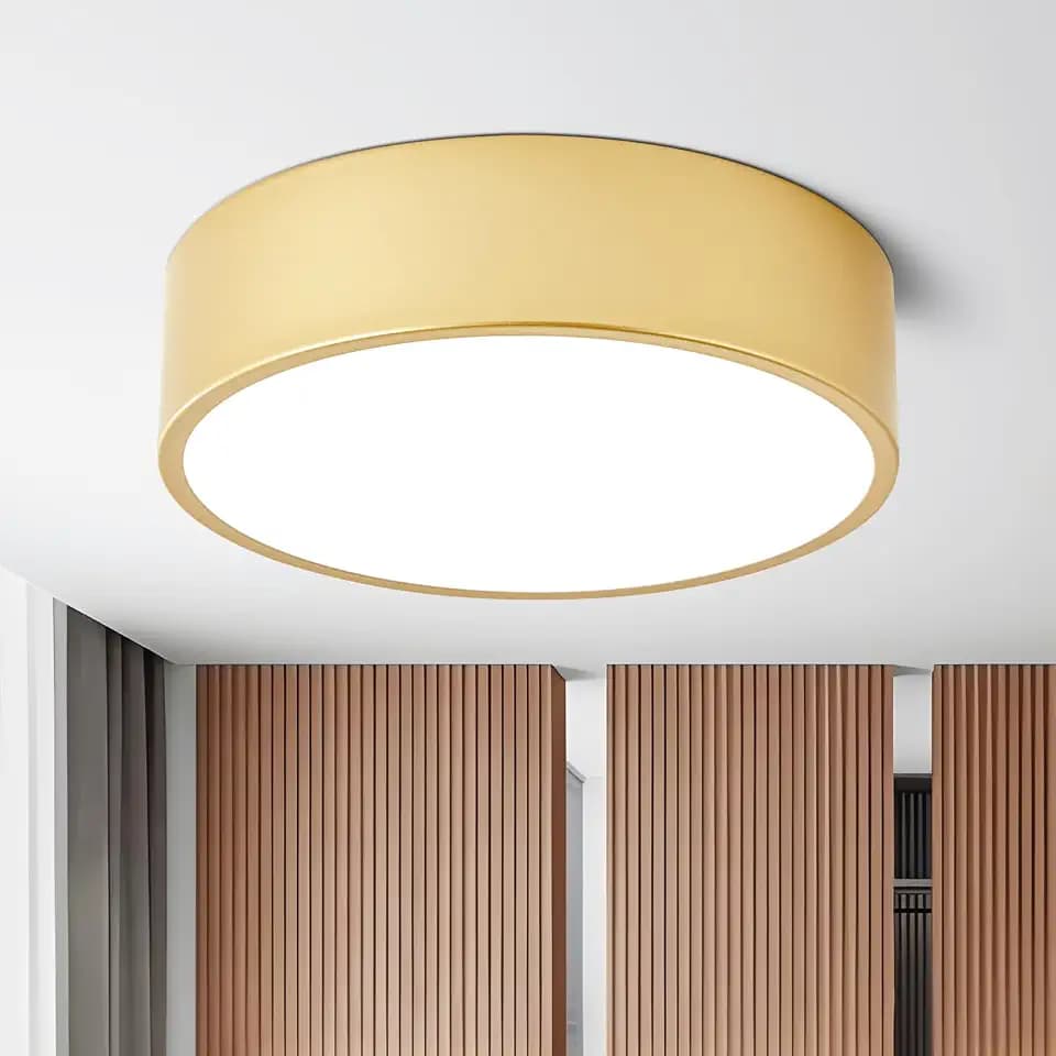 Dimmable Modern Flush Mount Ceiling Light Fixture,5CCT,11.81 inch