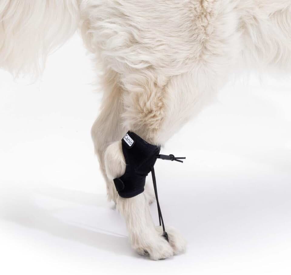 Ortocanis - Korrekturhilfe für Hunde - Knuckling, Myelopathien, Wirbelsäulenverletzungen - Korrigiert Pfotenhaltung, verhindert Verletzungen - Spezialisten Barcelona - Größe: XS 7-9 cm