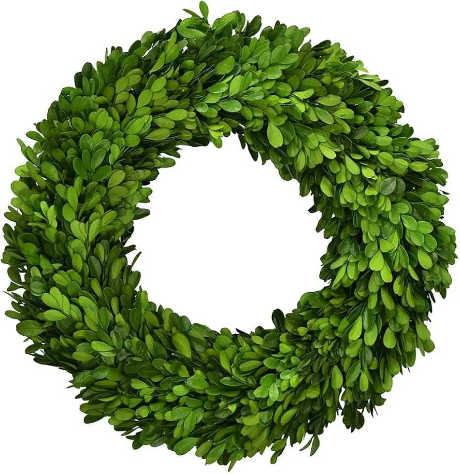 Boxwood Wreath 14" Preserved Natural Boxwood Wreath Home Decor Keep Fresh for Years Home Wreath Decor (Preserved Boxwood)