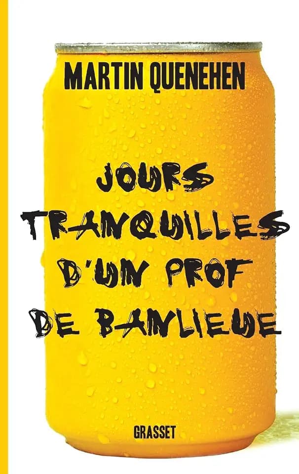 Jours tranquilles d'un prof de banlieue (Documents Francais)