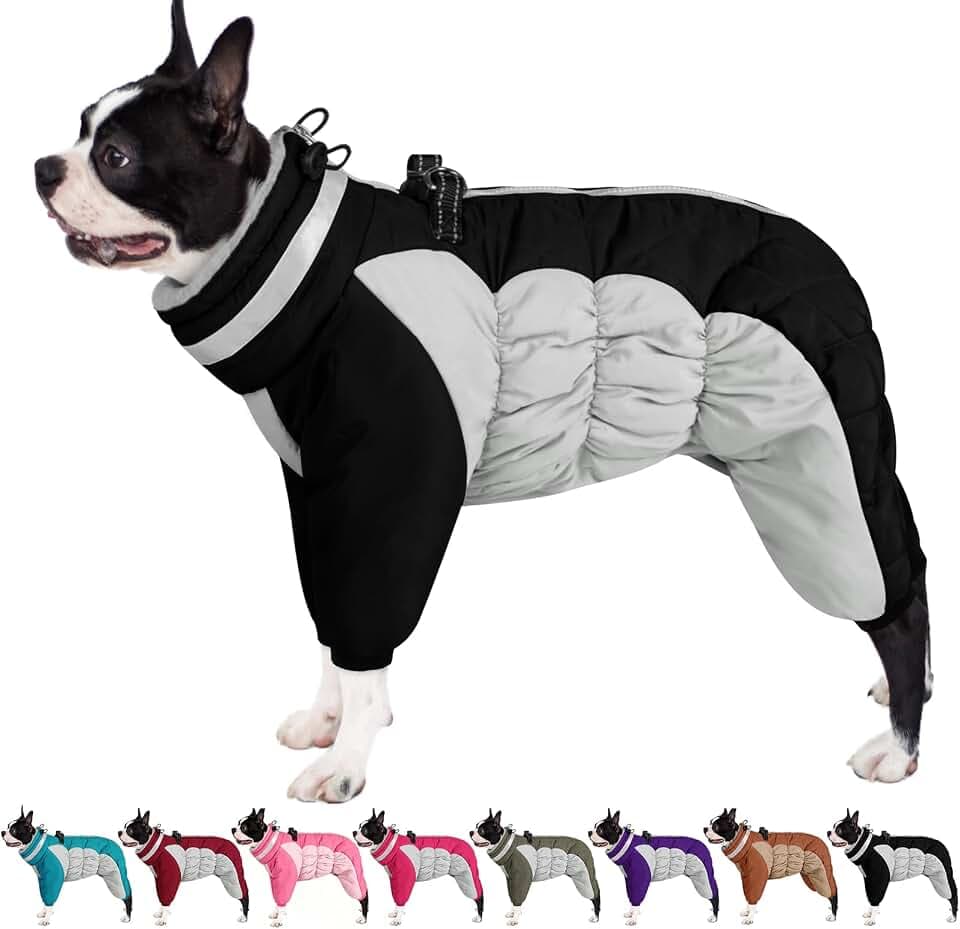 AOFITEE Hundemantel für Kleine Hunde Warm Winter Hundeoverall mit Beinen