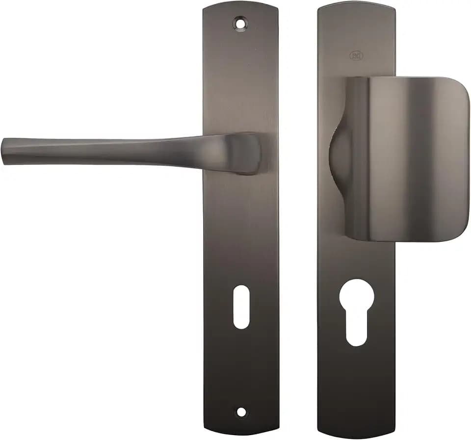 Bricard 99840T1 Set Griffe Skizzenklemme Zamak Farbe Titan + Spoiler europäisches Profil (ohne Zylinder) für Eingangstür