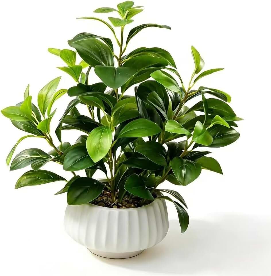 Artificial Peperomia Plants 16” Tall Lifelike Faux Greenery in 6” White Ribbed Ceramic Planter Realistic Indoor Fake Potted Plant for Home Office Desk Shelf Bathroom Bedroom Farmhouse Decor