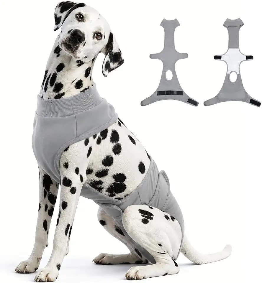 Dog Diapers，Washable Reusable Period Diapers & Belly Bands,Grey L