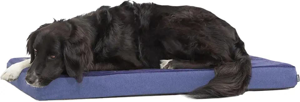BarkBox Orthopedic Dog Bed with Memory Foam, Premium Comfort for Dogs and Puppies, Dog Bed for Joint Relief and Restful Sleep, Durable and Easy to Clean - Navy, Large
