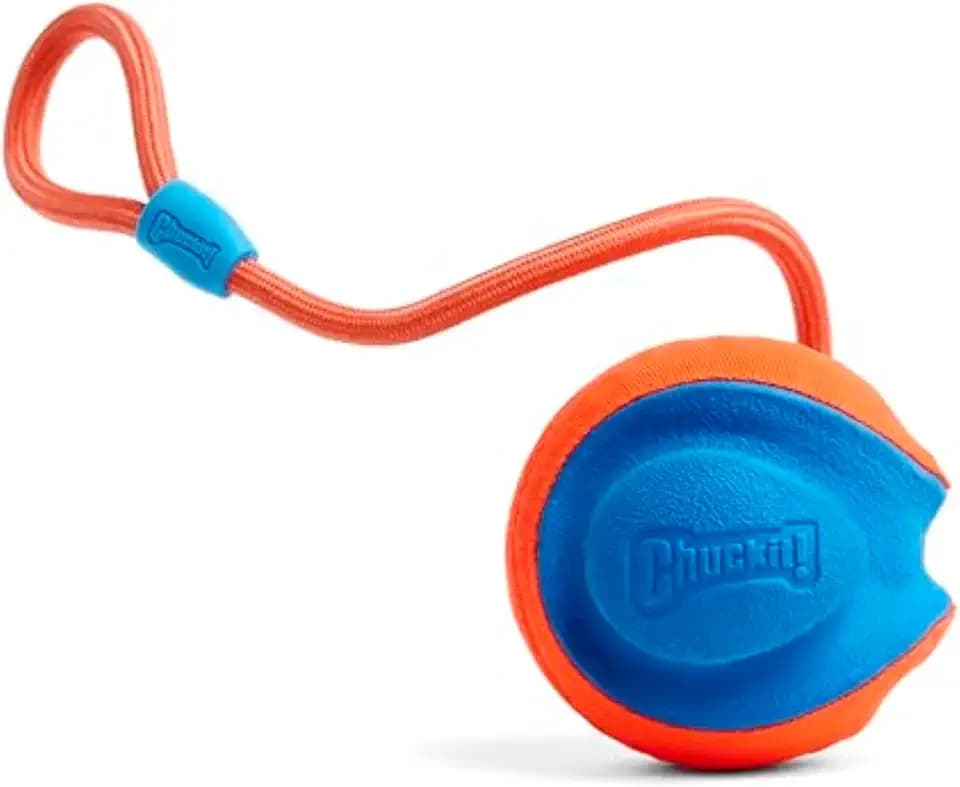 Chuckit! Rope Fetch Dog Toy, Ball on Rope, Durable EVA Rubber, 5.5-in