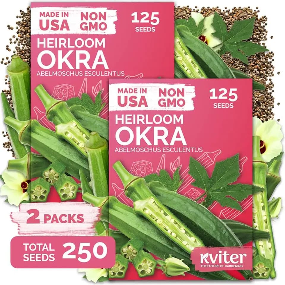 250 Clemson Spineless 80 Okra Seeds for Planting, Abelmoschus Esculentus