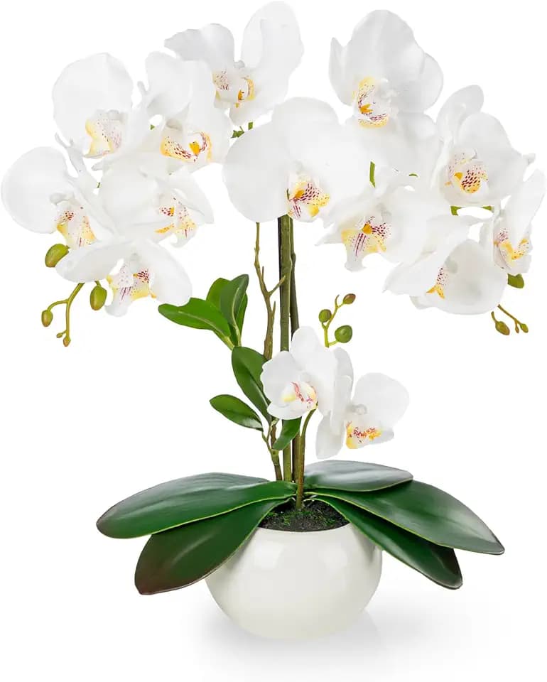 PASCH® Orchideen künstlich in Hochglanz-Keramiktopf (40cm) | Kunstblumen im Topf | Kunstblumen wie echt | künstliche Orchideen im Topf | künstliche Blumen im Topf | Kunstblume Orchidee