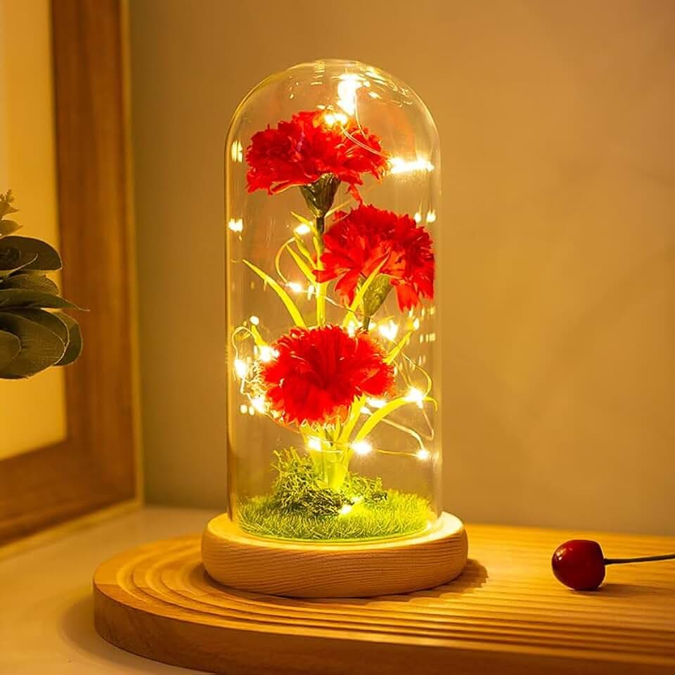 Dream Loom Rote Nelke mit LED-Lichtern Ewige künstliche Blumen in transparenter Kuppel, beleuchten Blumen mit hölzerner Basis, Jubiläum/Geburtstag/Valentinstag Frauen, Frau, Mama