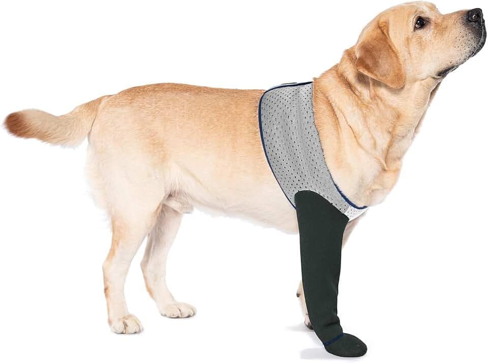 COODEO Hundesocken nur für Vorderpfoten - Gegen Pfotenlecken & Schutz bei Verletzungen, wasserdichte Pfotenschuhe mit rutschfesten Sohlen für postoperative Genesung. (Grau, 3XL_Right)