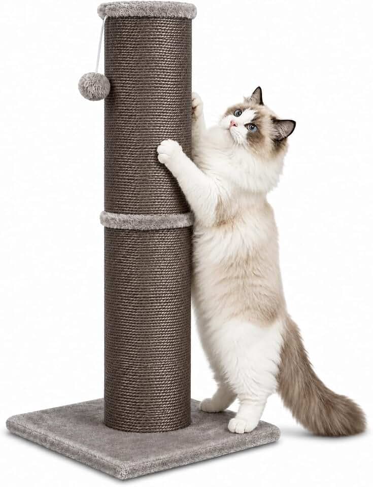 Cat Scratching Post with 5.5 Inch Diameter Sisal Post, 32 Inch, Grey