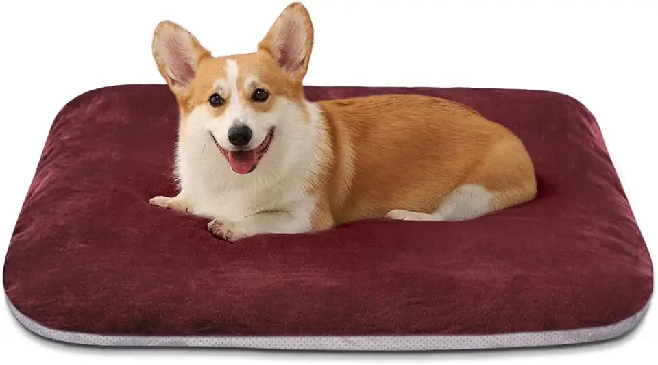 Magic Dog Orthopedic Medium Dog Bed 32 Inch, Super Soft Small Pet Bed