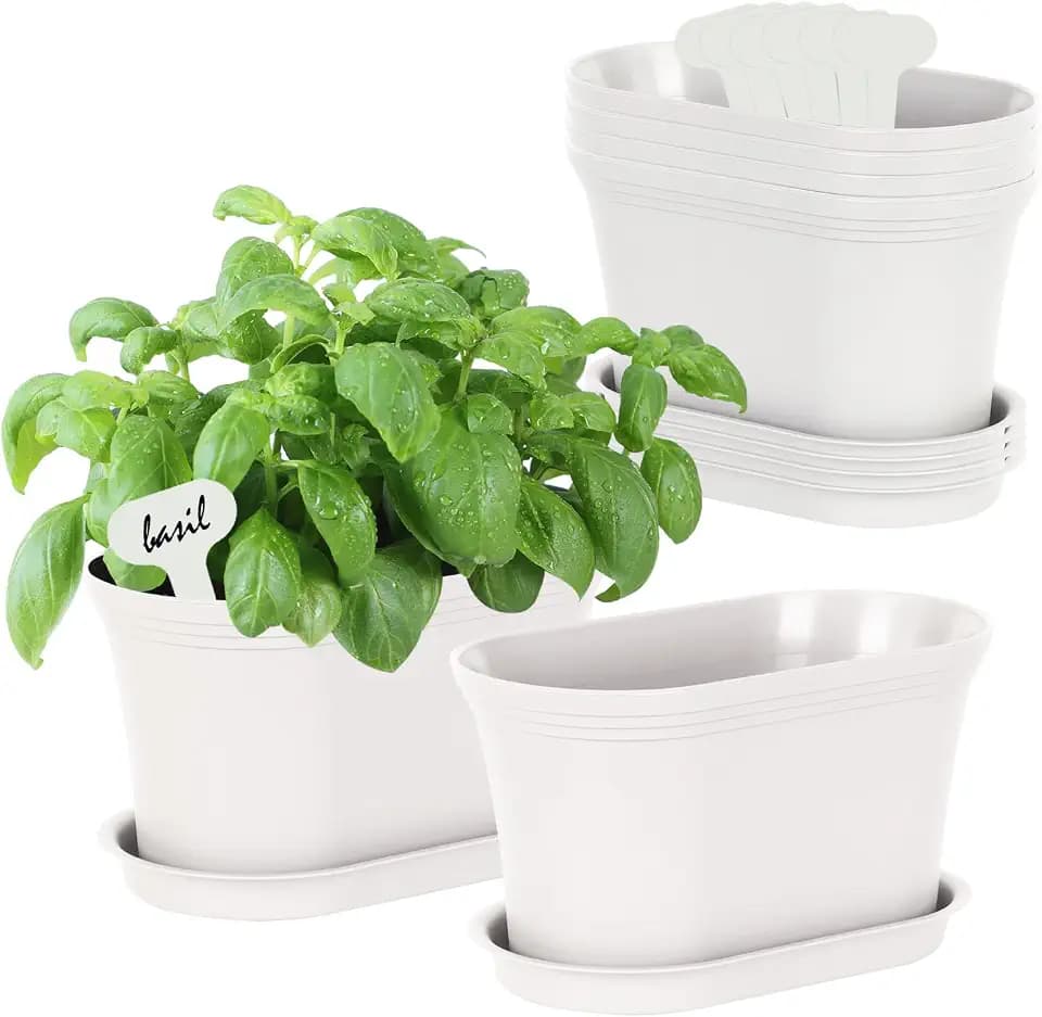 Oliz 6pk Windowsill Planters, White Plastic w/Drain Tray - Indoor/Outdoor