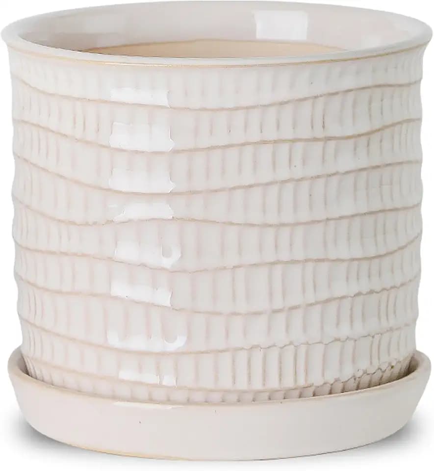 5.8 Inch Ceramic Planter with Drainage Hole & Bonded Saucer