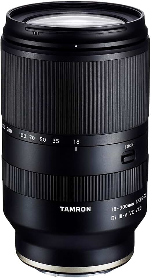 Tamron 18–300 mm F/3,5–6,3 Di III-A VC VXD Objektiv für Sony E APS-C spiegellose Kameras (schwarz)