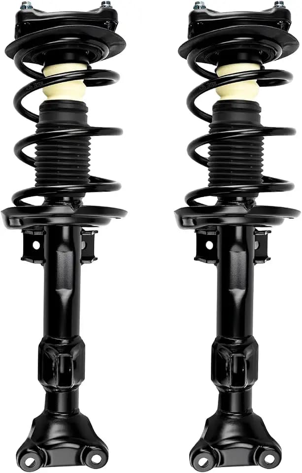 PHILTOP Front Strut Shock Absorber w/Coil Spring for C250,C300,C350 2pcs