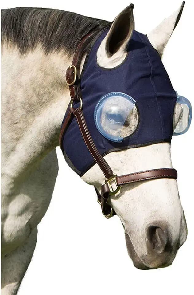 Eye Protection Recovery Hood