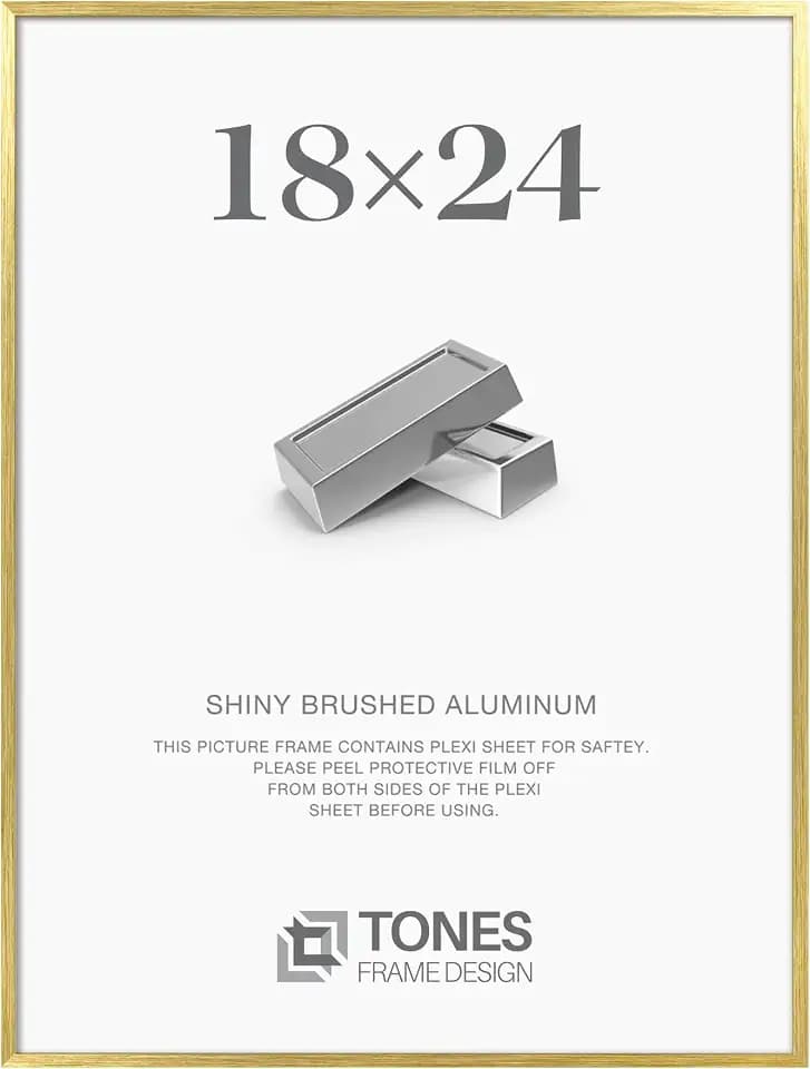 TONES FRAME DESIGN 18x24 Brush Gold Aluminum Frame with Plexiglass