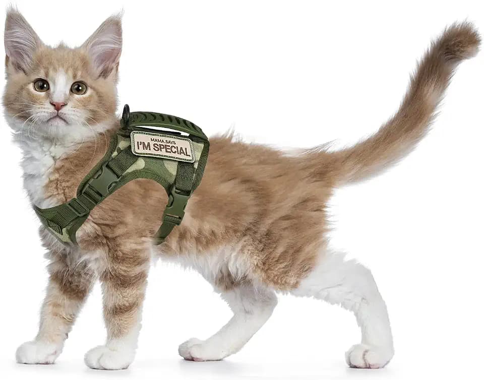 Taktisches Katzengeschirr für Spaziergänge, ausbruchsicher, weiches Netzgewebe, verstellbar, Haustierweste, Geschirr für große Katzen und kleine Hunde (L, A-Grün)