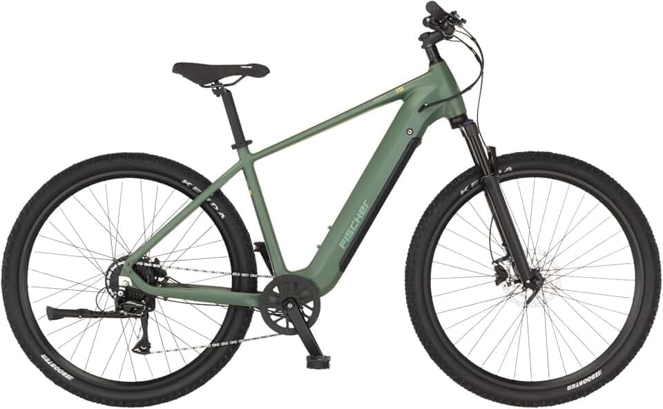 FISCHR E-Bike MONTIS Move 01 Elektrofahrrad für Damen und Herren, RH 48cm, Heckmotor 50Nm, 36V Akku, Diamant-Rahmen