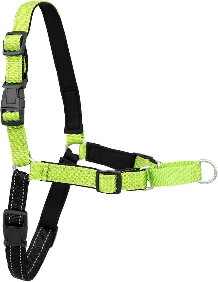 PetSafe Deluxe Easy Walk No Pull Dog Harness, Apple Green, Medium/Large