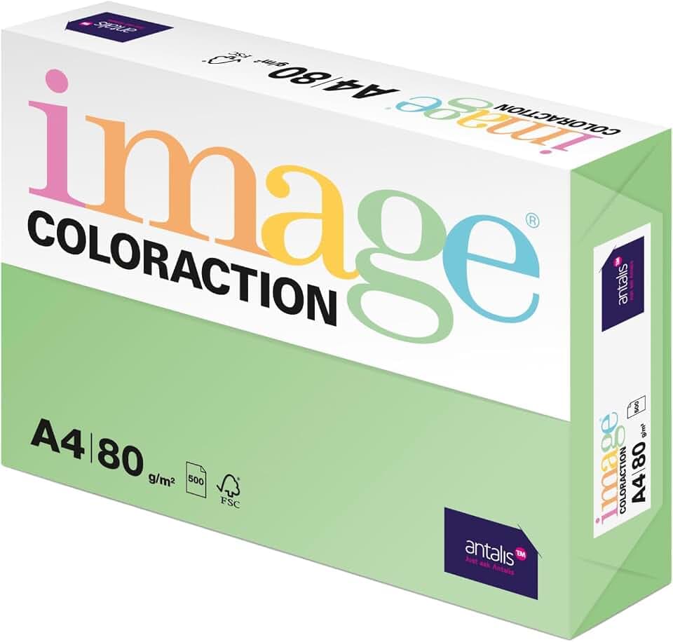 Image Coloraction Forest - farbiges Kopierpapier - DIN A4, 210 x 297 mm, 80 g/m² - buntes, holzfreies Druckerpapier für Kopierer - 500 Blatt - Grün