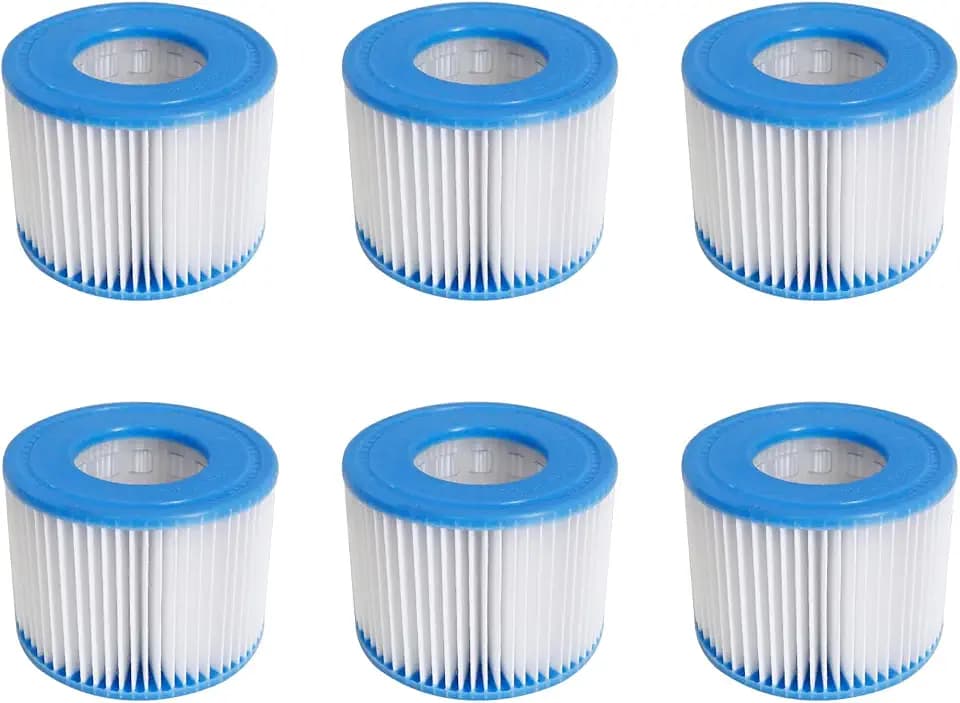 Type VI Filter Cartridge for Bestway, Lay-Z-Spa, Coleman SaluSpa