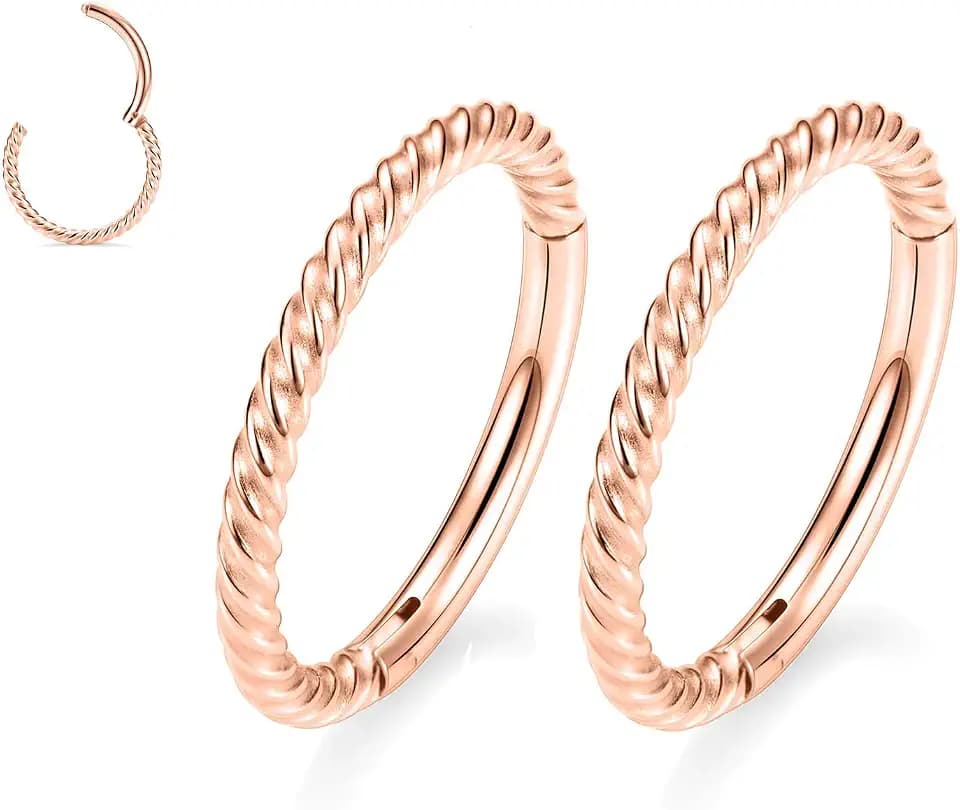 GAGABODY 2 Pcs Nose Rings 22G 20G 18G 16G 14G 12G 10G 8G Surgical Steel Piercing Rings for Nose Septum Cartilage Helix Tragus Conch Rook Daith Lobe from 5mm to 16mm Seamless Hoop Unisex Hinged Earrings
