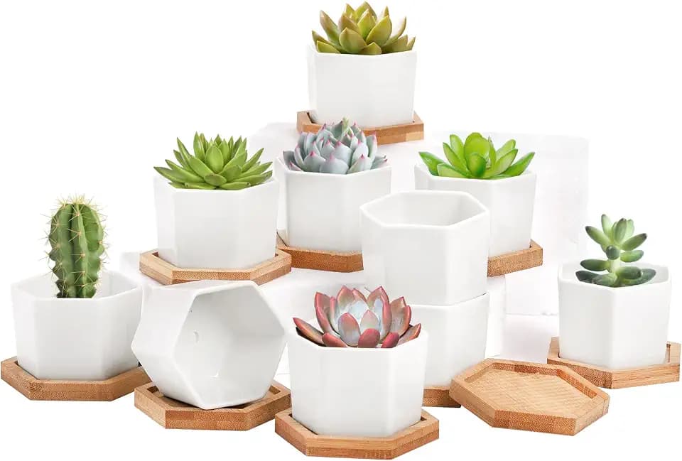 Foraineam 10 Pack Mini Succulent Plant Pots, 2.76 inch Hexagonal White Ceramic Succulent Cactus Planters with Bamboo Tray