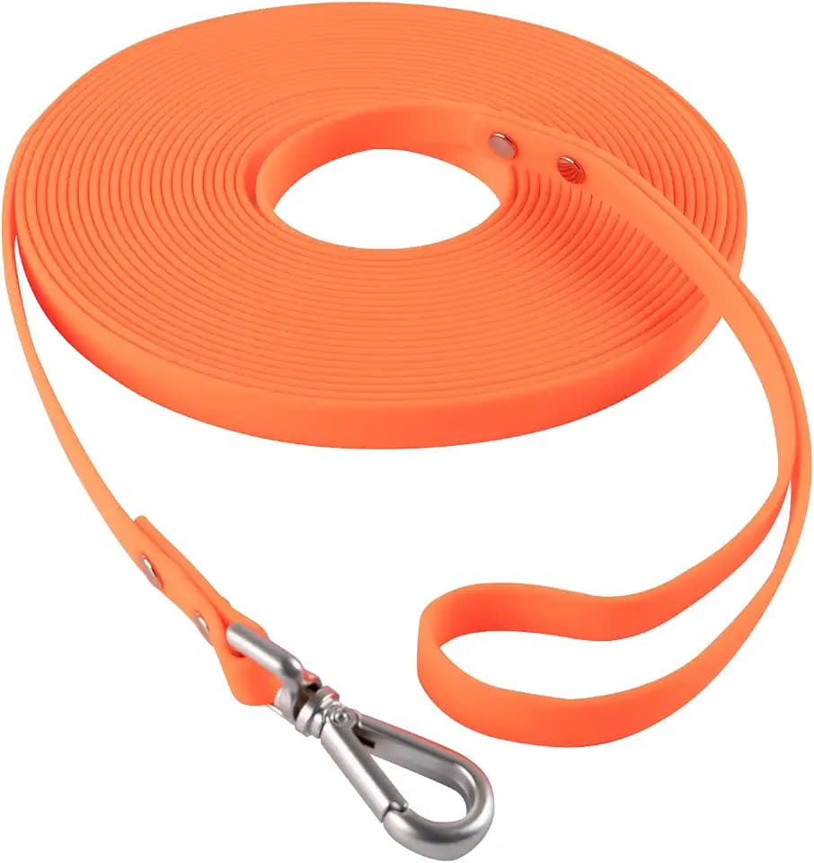 Dog Training Long Leash Waterproof Long Line Heavy Duty Outdoor Recall Lead 10ft 15ft 20ft 30ft 50ft for Small Medium Large Dog (Orange, 10FT)