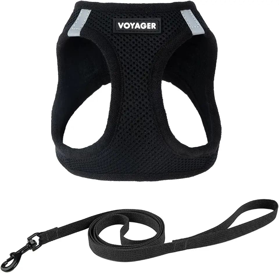 Voyager Step-in Air Cat Harness & Leash Set - Black, XX-Small