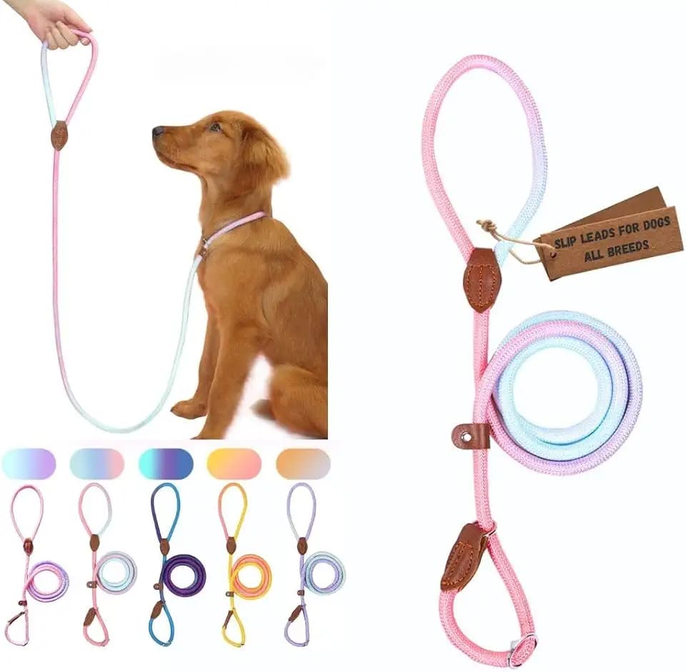 Slip Leads for Dogs 5 FT Pastel Rope Leash, Soft Slip Lead Dog Leash with Adjustable Stopper, Gradient No-Pull Training for Small Medium Large Breeds Pink and Blue